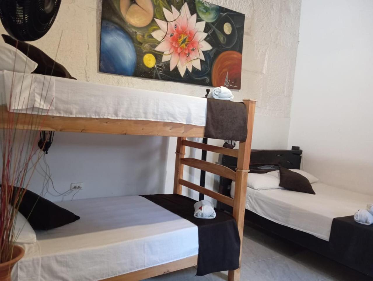 Santander Aleman Hostel サン・ヒル エクステリア 写真
